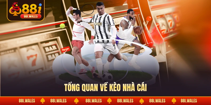 Kèo Nhà Cái | Tỷ Lệ Bóng Đá Trực Tuyến Chính Xác 2026 2 Tổng quan về kèo nhà cái